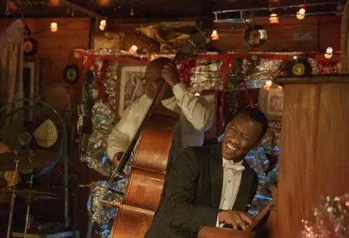 绿皮书美式用爱花电的毒鸡汤