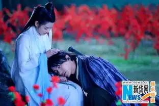 陈晓神雕侠侣频耍宝成逗比网友就是任性
