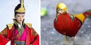 于正笑傲江湖曝剧照陈乔恩自嘲像鹦鹉
