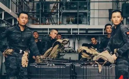 红海行动英雄情怀与国家精神