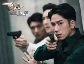 飞虎之雷霆极战专注卖情怀又是一部剧情对不起阵容之作
