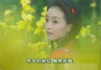 王艳一生有一个晴儿足矣,却偏偏演活了4大经典角色
