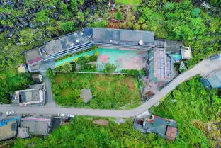 现实版忠犬八公小黄狗两年来每天接留守小姐妹放学