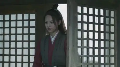 雪中悍刀行最惨角色排名赵楷屡战屡败是真惨,探花是真可惜
