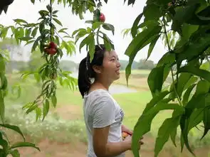闻香识女人岁月静好,静待花开张丽萍的世外桃源