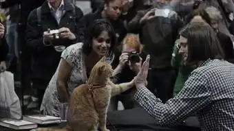 一只桔猫如何拯救瘾君子的生命流浪猫鲍勃背后的真实人生