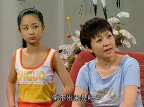 情景喜剧的中国式落魄史