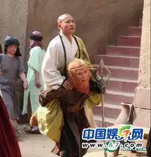 杨幂宫锁珠帘频穿帮新西游记雷人更坑爹