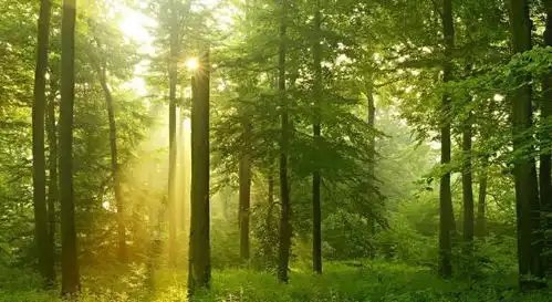 23后开始,横财大奖追着发,下半年财富持续爆发三生肖