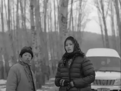 我的siff观影报告2018
