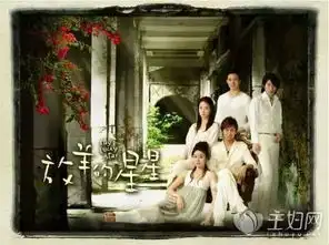 放羊的星星确定翻拍预计2018年上线开播