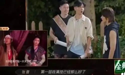 张晋夸袁咏仪小弟尹正是天才你觉得龙门镖局山鸡演技怎样