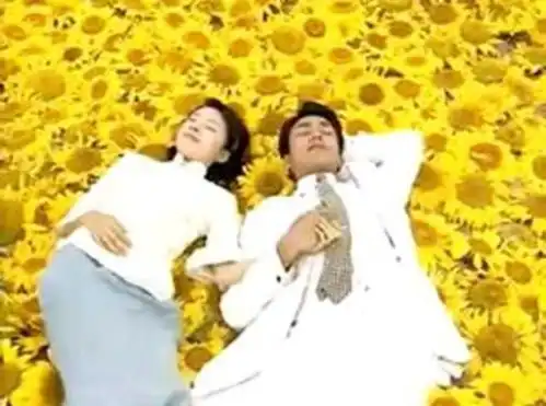 为什么我们宁愿刷十遍老剧,也不想看一眼新剧