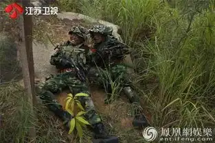利刃出击来临最有潜力超越我是特种兵系列