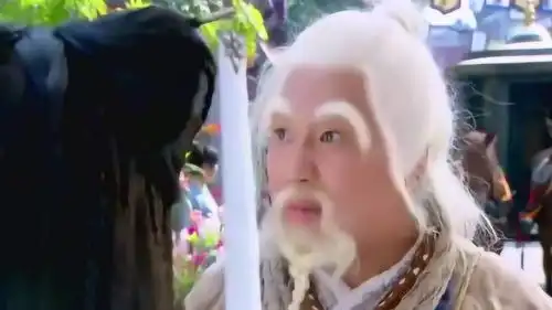 新神雕侠侣小龙女找不到杨过心灰意冷,半路遇到老顽童周伯通