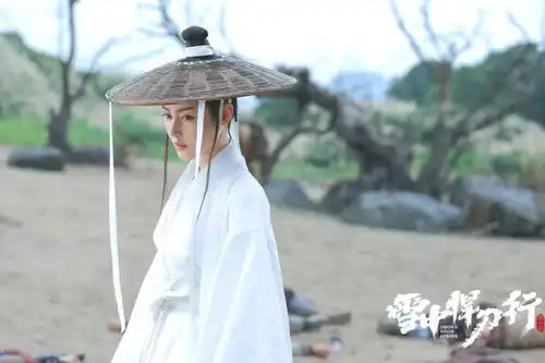 雪中悍刀行中的剧抛脸认出了杨皓宇田小洁,没认出刘佩琦