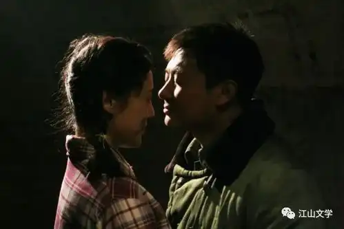 江山长篇连载院里院外二十四章
