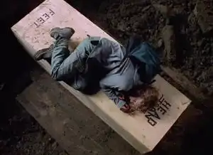 从风雨哈佛路看决心和毅力发现孩子的独一无二