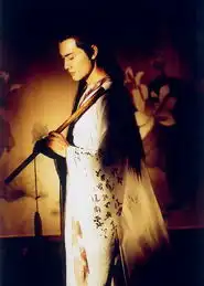 莱昂纳多柏原崇王祖贤令人惊艳的明星剧照