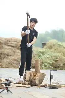 彭昱畅向往的生活收官大银幕接力快把我哥带走
