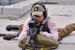 我是特种兵3之火凤凰全集热播高端武器亮相