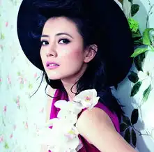 高圆圆孙俪郭美美佟丽娅ps真容大对比