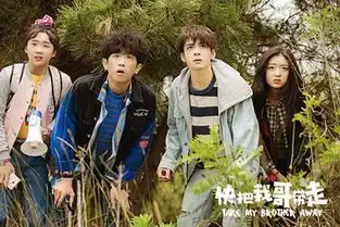 你们喜欢快把我哥带走的电视剧还是电影
