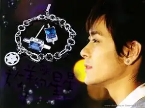 谁知道放羊的星星里那个钟天琪的那条手链英文名叫什么