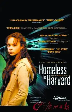 新片睡在我上铺的兄弟引争议从头打到尾