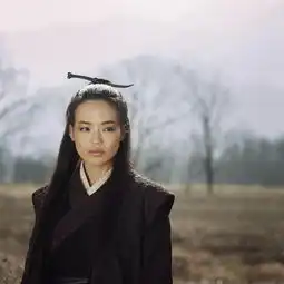 聂隐娘惊艳剧照
