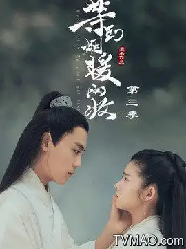 等到烟暖雨收第三季剧情介绍