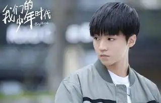 26岁郑爽演技惹争议,20岁的王俊凯亮相,宋丹丹道破单身原因
