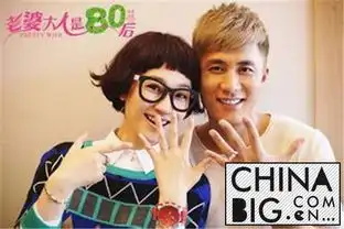 老婆大人是80后什么时候播出在哪个台播剧情简介及演员表
