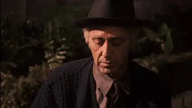 视与听杂志纪念教父问世50周年
