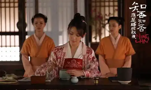 知否,知否,应是绿肥红瘦从盛家一门四女,看古代婚嫁哲学
