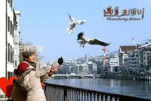 电视剧遇见王沥川分集剧情介绍138全集大结局
