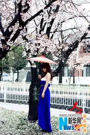 中国·重庆綦江网
