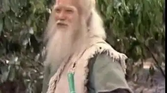 射雕英雄传东邪西毒
