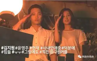 金智媛,晋久太阳的后裔后再度合作
