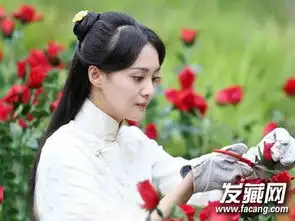 简洁的黑色长直发发型郑爽披肩发诠释温婉民国风9
