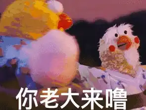 明明是鸡年,这两只鹦鹉却成了网红