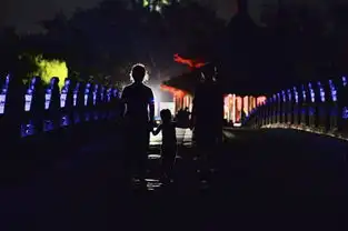 颐和园浪漫七夕夜昆明湖掌灯邀贵宾
