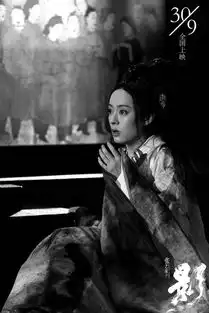 孙俪影剧照曝光国际口碑获赞点睛之笔