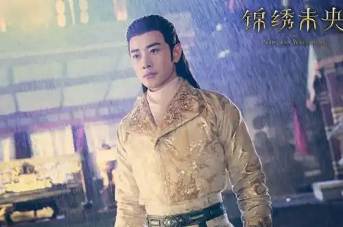 锦绣未央演员表,锦绣未央讲了什么它凭借什么成为年度黑马
