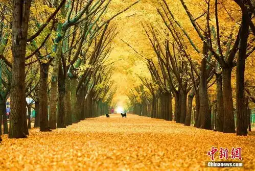 驻马店人2018年还剩不到2个月,这些事儿得抓紧办了