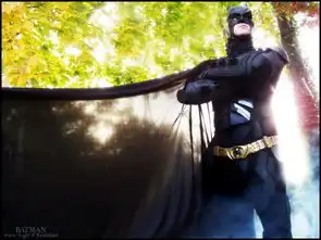 蝙蝠侠系列高还原cos欣赏小丑放开那爆乳猫女