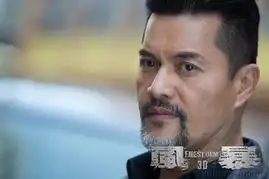 风暴聚焦警界升级寒战挑战司法禁区5869038