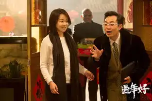 过年好曝大鹏土豪剧照煎饼侠变身苍蝇侠
