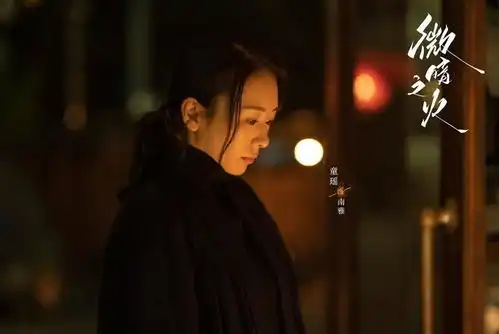 微暗之火能否照亮人性的幽暗专访主创用悬疑的外壳包装动人的故事谈艺录