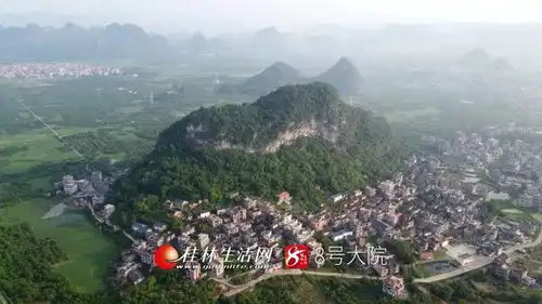 平乐打造三华李乡村文化农旅新模式引来众多外地游客